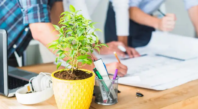 Tax Preparation Services for Fairbanks Business Owners